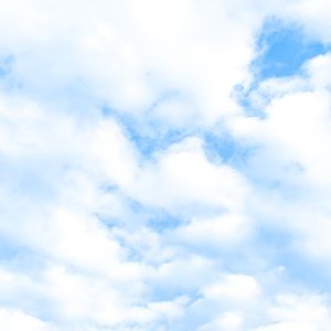 Meet your Posher, Mattie